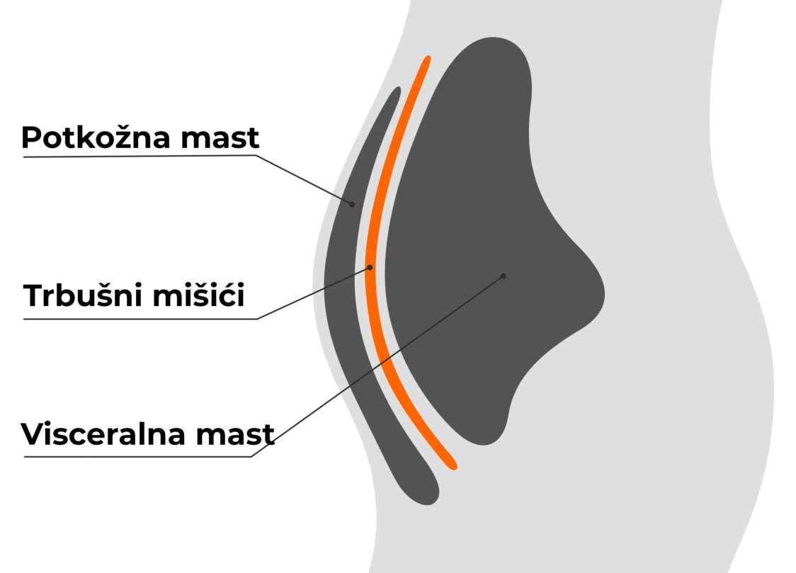 potkožno i visceralno masno tkivo