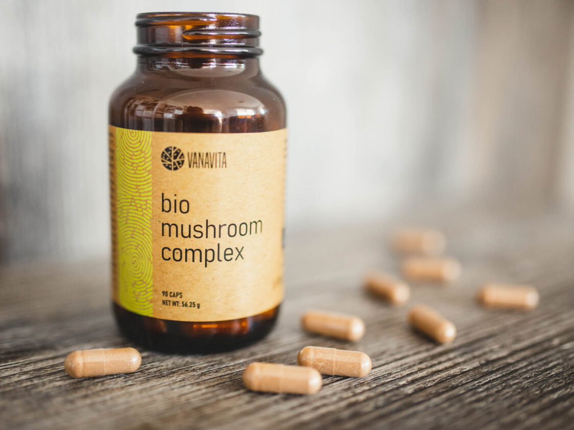 Které prospěšné látky reishi obsahuje? Koje blagotvorne tvari sadrži Reishi?