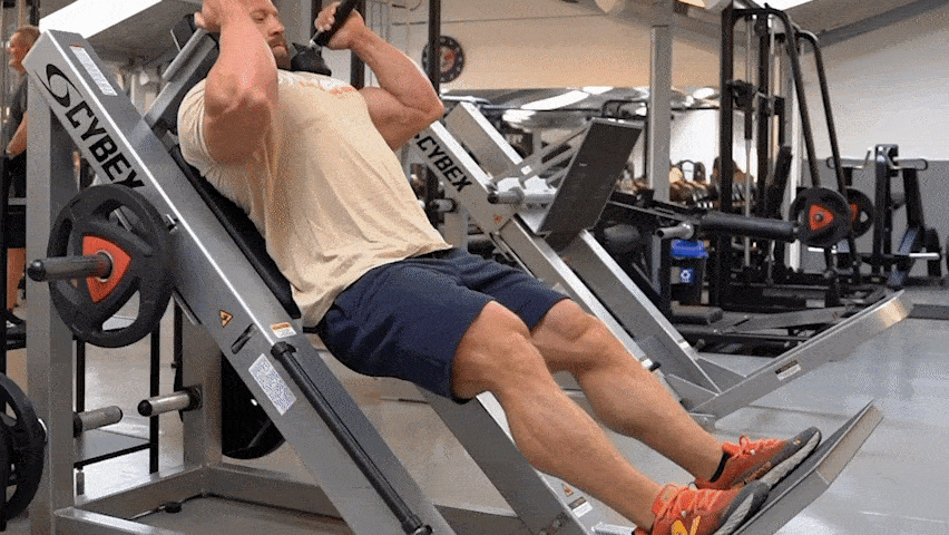 Kako izvesti hack čučanj?