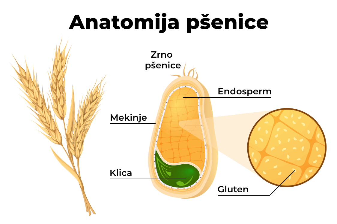Gdje se može pronaći gluten?