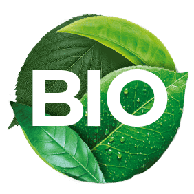 BIO Agavin Sirup Light - BioToday