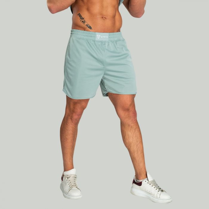 Muške kratke hlače Nebula Stone Blue - STRIX L